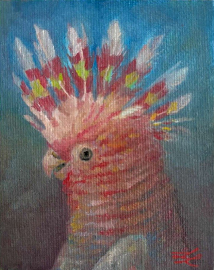 L’Écho sauvage, Ludivine Larosa